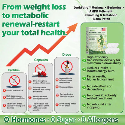 Moringa × Berberine × AMPK Slimming & Metabolic Nano Microneedle Patch | Daily support for metabolism and heart health