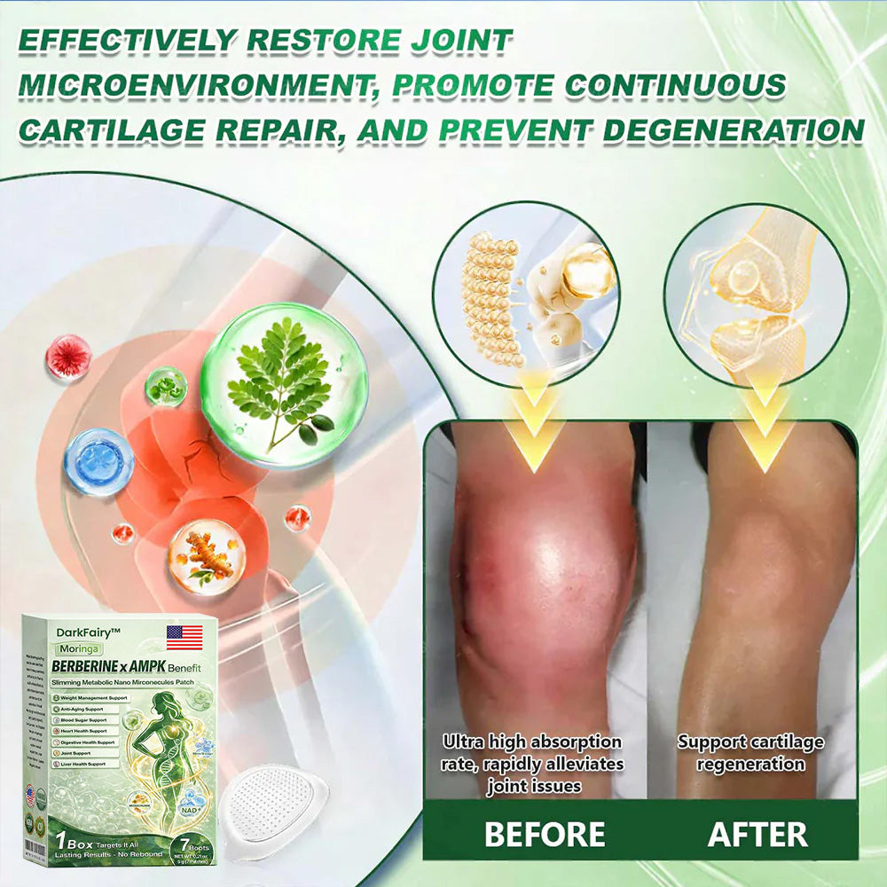 Moringa × Berberine × AMPK Slimming & Metabolic Nano Microneedle Patch | Daily support for metabolism and heart health